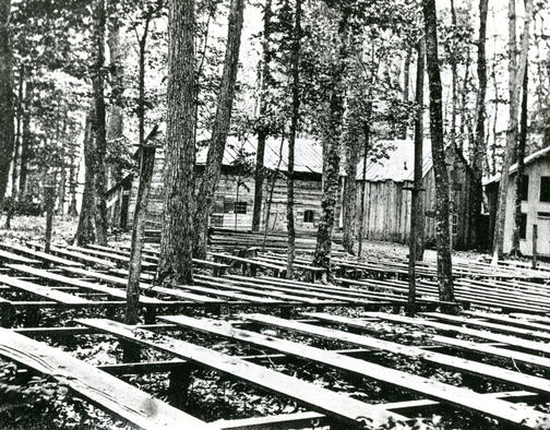 Blacdk and white photograph of several rows of flat plank wooden benches spaced outdoors among the trunks of tall trees.
