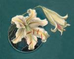 White Lilies