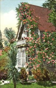 Postcard Rose Covered Cottage 1915 ed