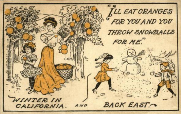 Old postcard that reads "I'll eat oranges for you and you throw snowballs for me." On the left is a drawing of a woman and little girl picking oranges from trees above the caption "Winter in California." On the right is a drawing of a boy and girl building a snow man above the caption "Back East." 