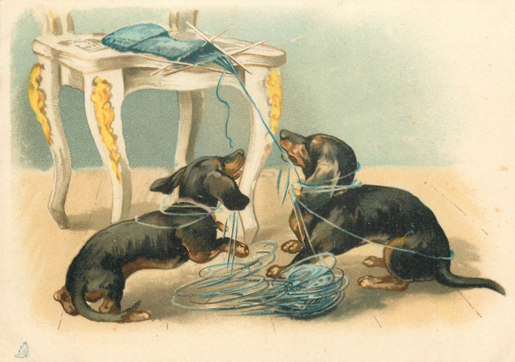 On a table is a partially knitted sock with knitting needs. On the floor below the table are two dachshunds who are playing with the ball of yarn and are unraveling the sock. They have tangled strands of yarn around themselves.