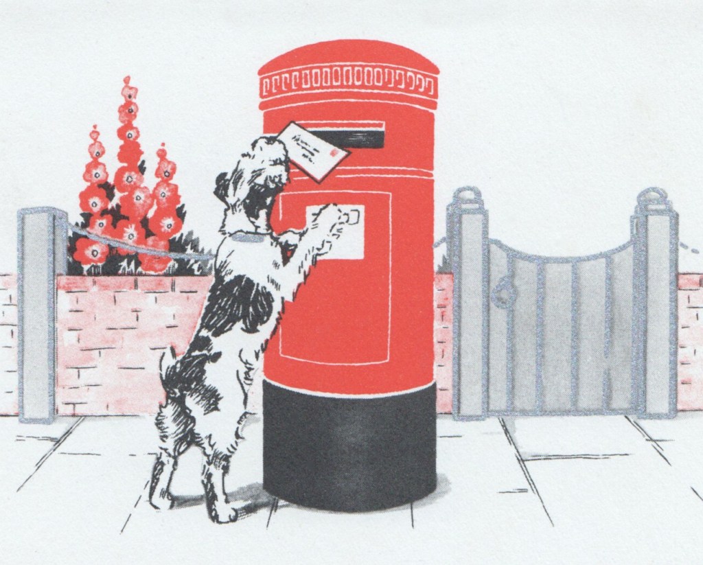 A large dog holds a letter in his mouth and stands on his hind legs so he can place the letter in a post office mailbox. 
