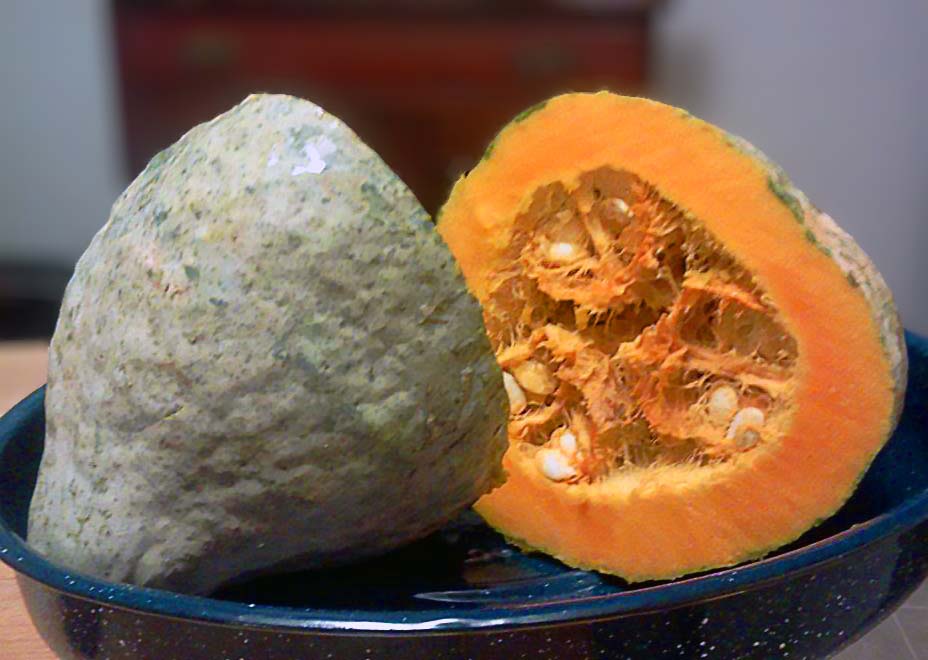 Photo of a hubbard squash cut in half on a blue plate.