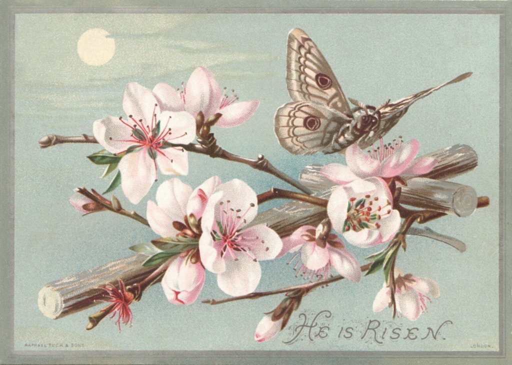 Illustration of a wooden cross with cherry blossoms twined around it and a butterfly resting on one of the flowers. The caption reads, "He is Risen."