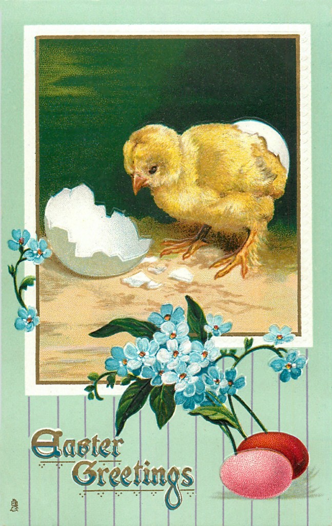 An old greeting card with an illustration of a chick just hatched as it stares down into half of its  former egg shell while the other half is on his back.. Nearby are two brightly dyed pink and red Easter eggs and a small bouquet of blue flowers. A caption reads "Easter Greetings."