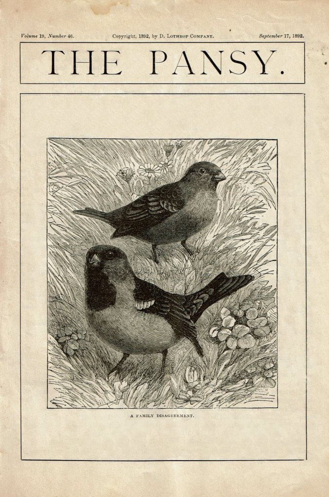 At the top "The Pansy" is displayed in a classic serif font. Below is a black and white woodcut illustration showing a close up of two birds in a meadow with a caption "A Family Disagreement."