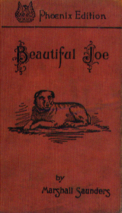 Book cover for the 1893 version of Beautiful Joe features a red cloth cover with a black illustration of a dog laying on the ground.